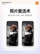 Fold机型用户需更新至8.8.6.5及以上版本