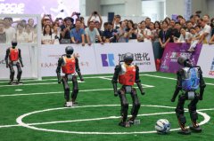 <b>中国高度注沉人工智能</b>